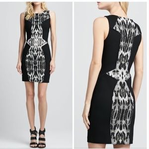 Rebecca Minkoff Moulin Cheetah Animal Print Dress